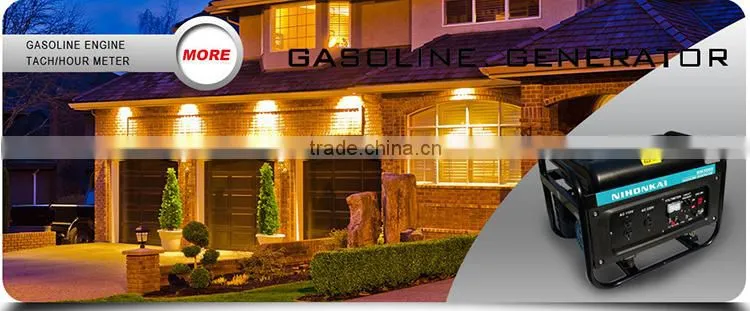 BISON(CHINA) Small 12v DC Gasoline Generator