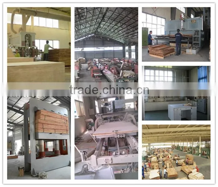 Pine core/Paulownia core/Malacca core 12mm blockboard