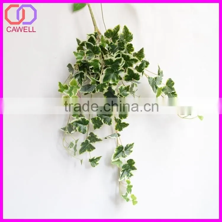 important of ornamental plant