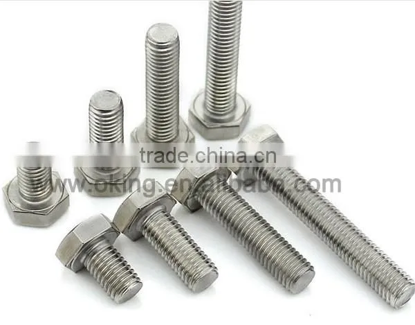 Staniless steel hex bolt m60 support OEM