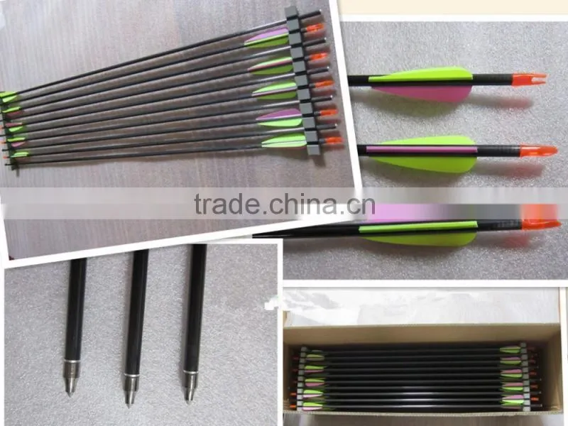 78cm Plastic Feather Carbon Arrow with Steel Point