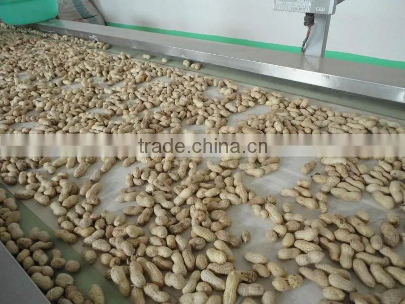 delicious organic taste peanut in shell