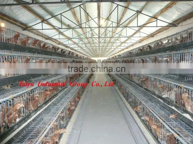 egg layers cage design