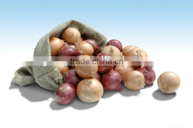 Convenient and Advanced Peeling Machine For Onion Skin