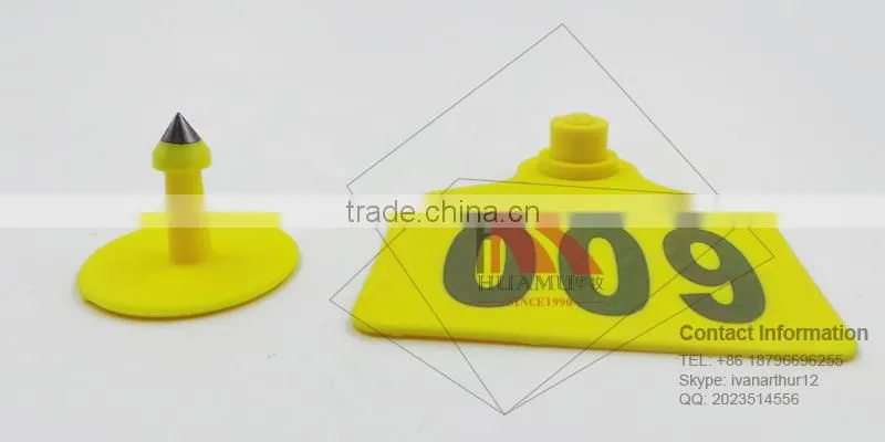 TPU ear tag for buffalo in yellow 49*43 mm