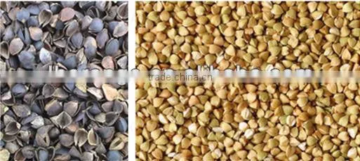 High Capacity Buckwheat Huller Machine with favorable price