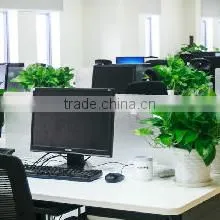 Luohe Quality Mechanical Equipment Co., Ltd. company overview - view 1