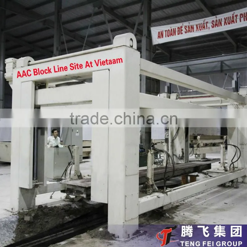 Professional production-Henan Teng Fei150,000m3 aac brick