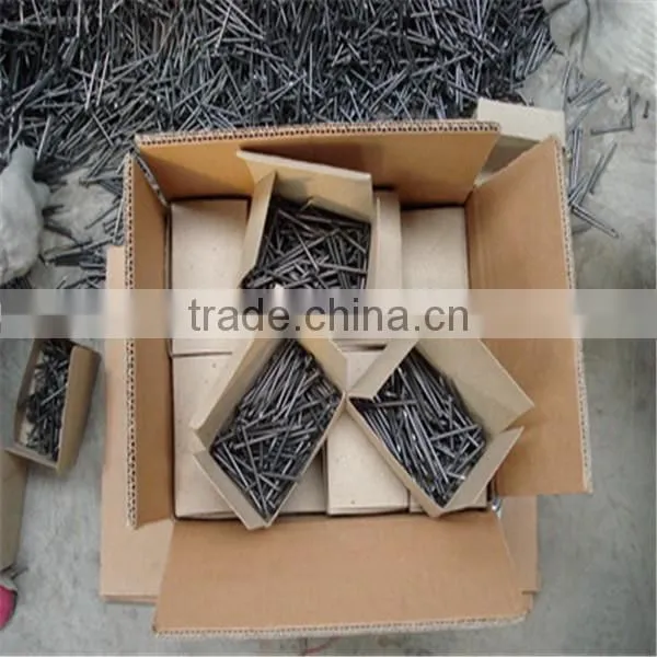 common nail / common wire nail / common iron nail