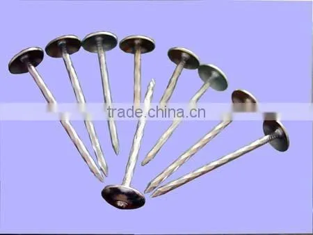 3" Umbrella Roofing Nails/construction roofing nails and building material nails