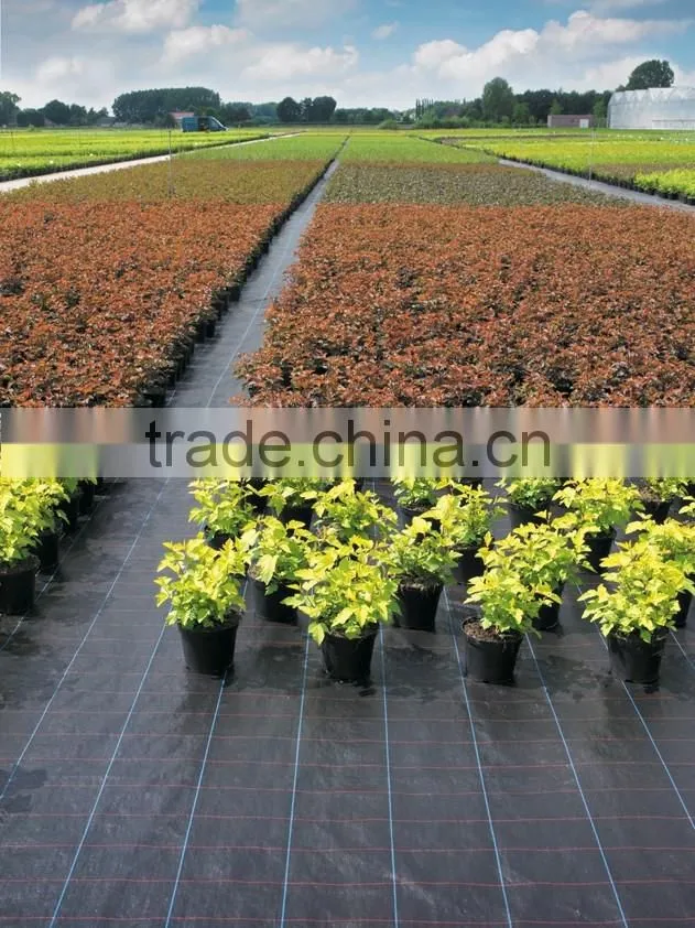 Weed control fabric pp woven weed mat