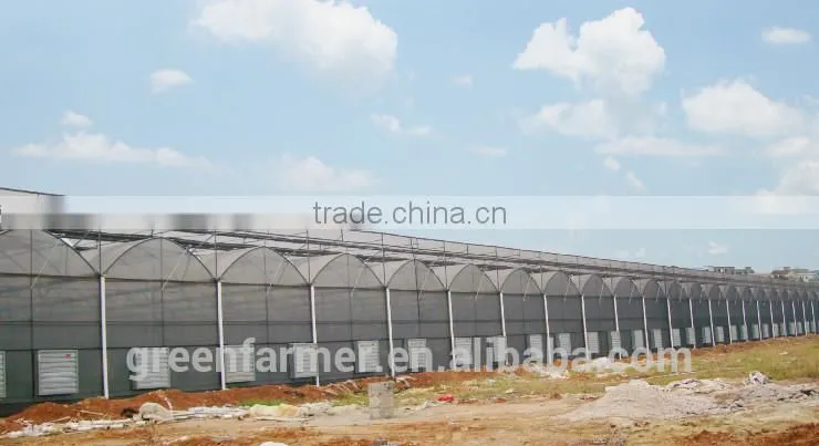 hot sale commerical glass greenhouse shade green house design