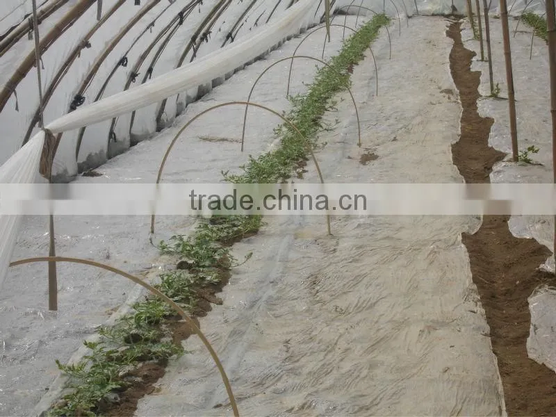 UV protect anti fog Transparent Co extruded PE Cover Film PE mulch film for watermelon greenhouse