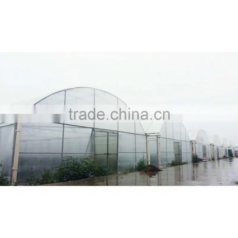 One Stop Grande Greenhouse Type Multi Span Plastic Film Commercial Greenhouse for Sale