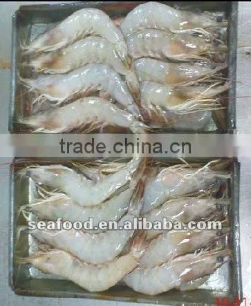 Vannamei shrimp