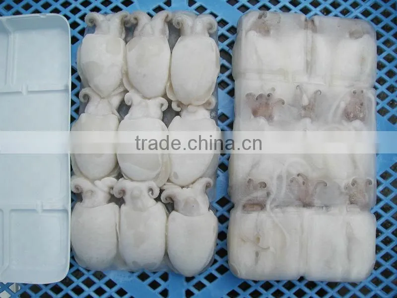 Frozen Cuttlefish whole round cleaned