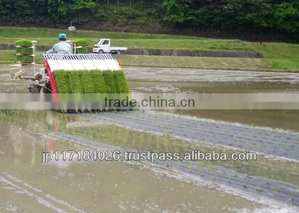 Easy to use and High quality alibaba products Kami Mulch for Paddy Rice for personal use