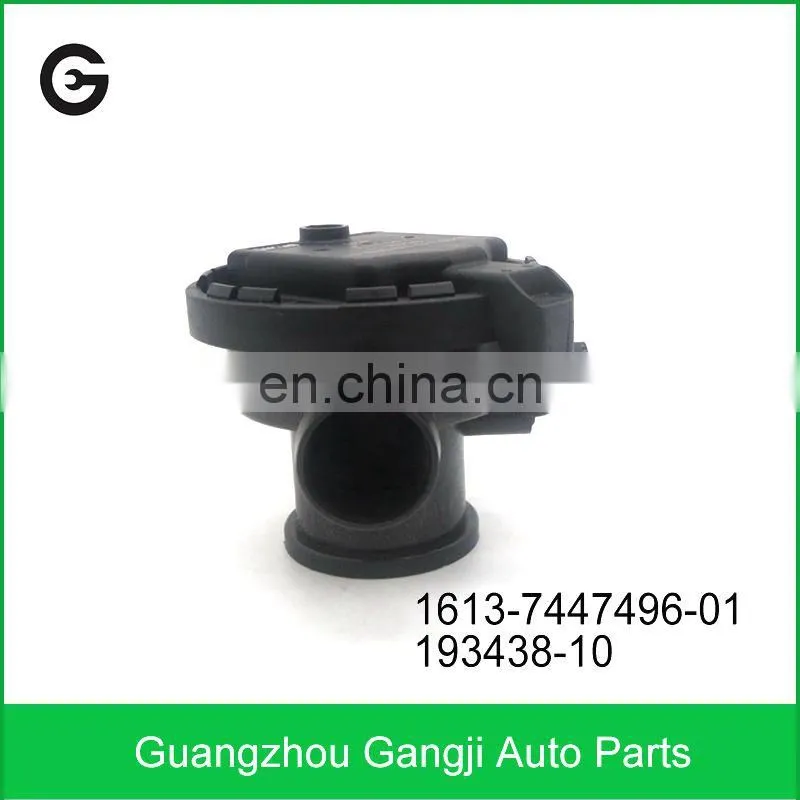 High Performance Auto Engine Tank Leak Detection Pump 1613-7447496-01 193438-10 For BMW