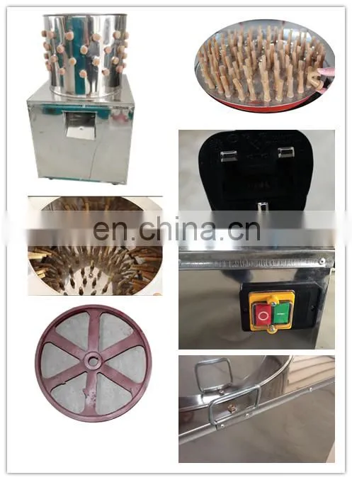 98% Unhairing Rate Chicken Plucking Machine Chicken Killing Machine For Sale