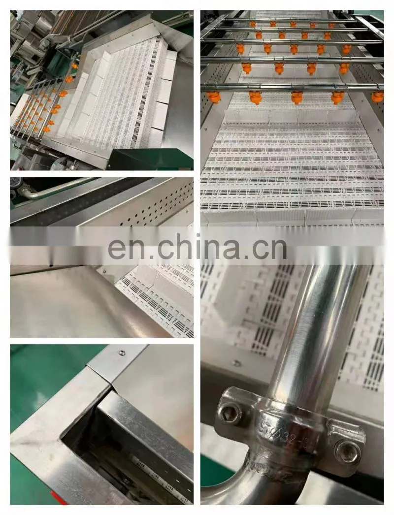 stainless steel apple/pear/mango/fruit/vegetable washing/cleaning/processing machine/equipment