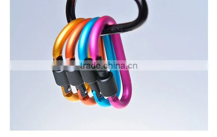 Carabiner KeyChain
