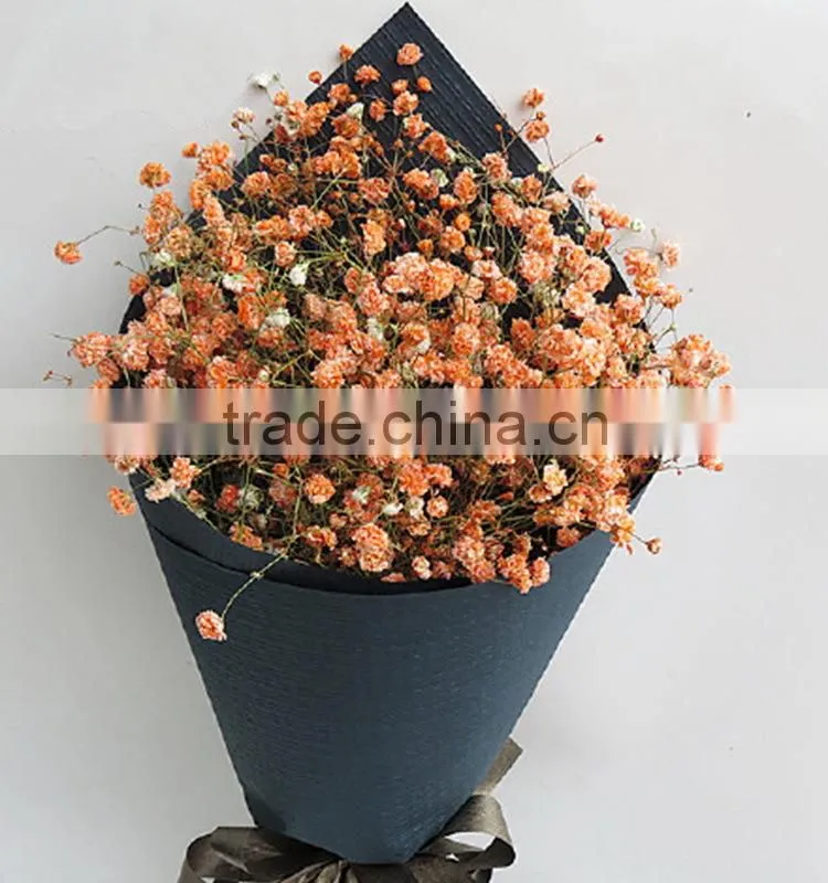 Colorful hotsell green gypsophila