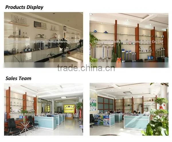 QZL Gaseous mass flow meter/Gas flow meter