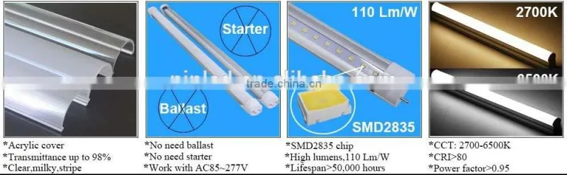 Alibaba china hot selling korea led light tube