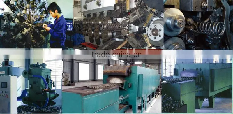 Torsion spring