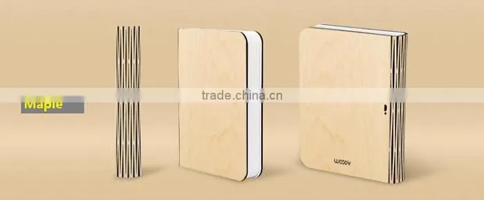 Mini Version LED WOODY Book Lamp