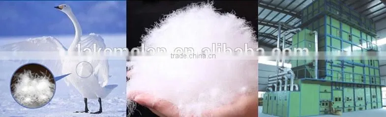 2-4cm washed white goose feather