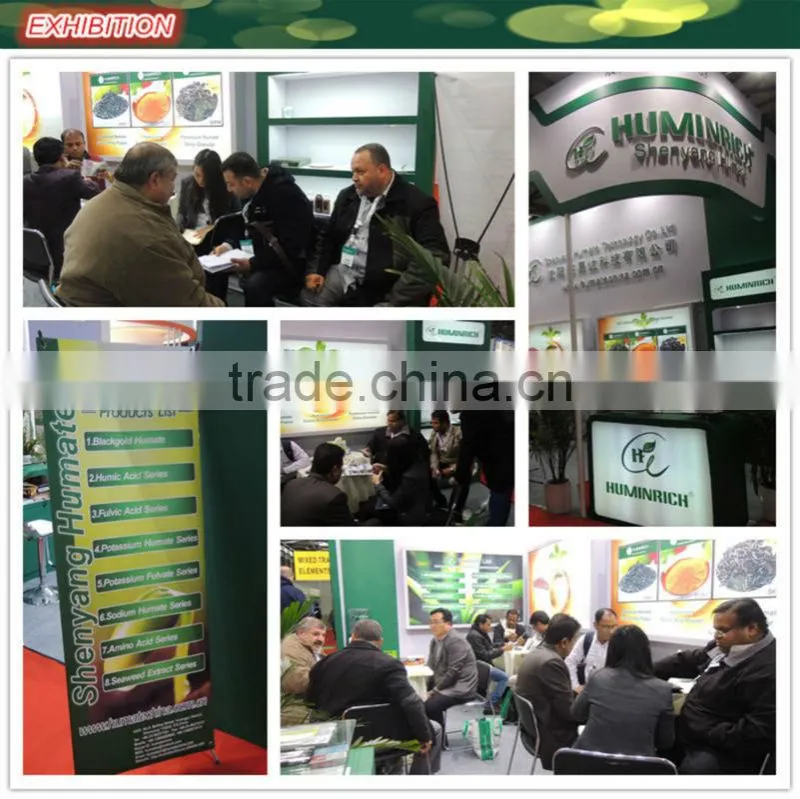 Huminrich Shenyang Blackgold Humate Organic Nitrogen In Mushroom