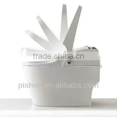Siphon Automatic Toilet