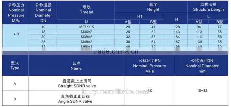 male thread check valve