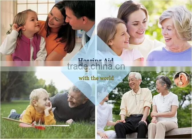 In-Ear Canal Sound Amplifier Deaf Hearing Aids