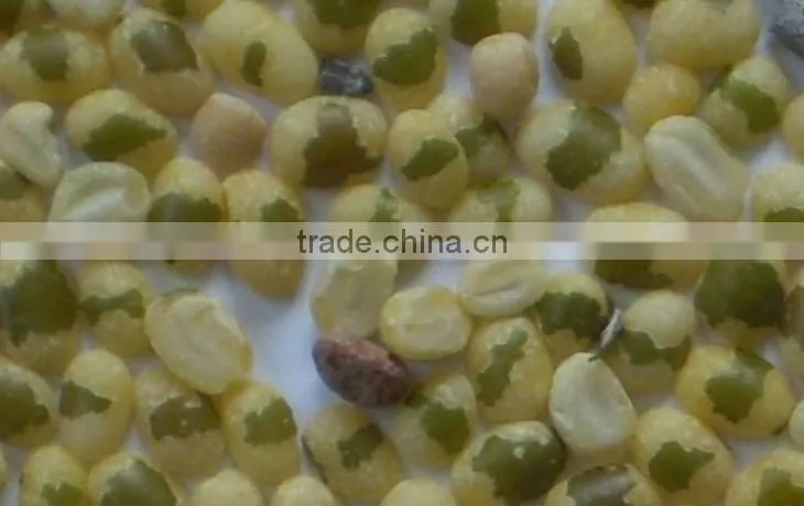 CCD peeled mung bean color sorting machine