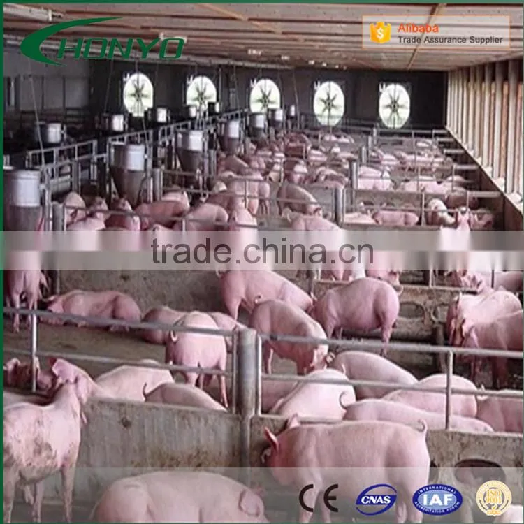Hight quality pig slaughter equipment line pig slaughter machine abattoir equipment Butcher equipment for pig