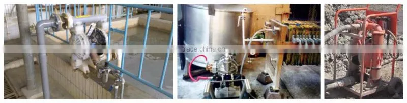 food grade oil pump