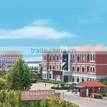 Shandong Wantong Hydraulic Co., Ltd. company overview - view 1