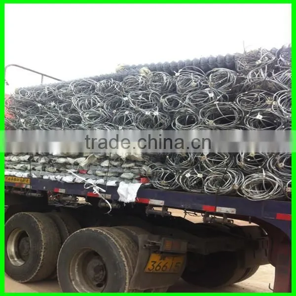 Active& passive slope protective steel wire mesh