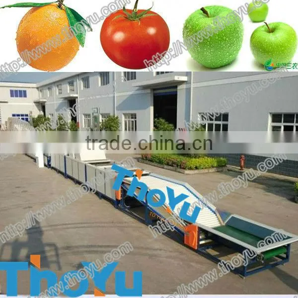 Small orange fruit sorting machine / Fruit grader in Zhengzhou