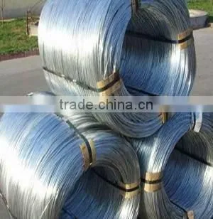 2013 Autumn Canton Fair 16.3H05 BWG22&8KG Electric Galvanized Iron Wire(factory)