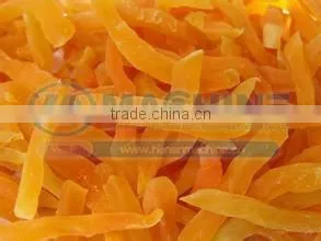 2016 Professional Fruit Drying Equipment