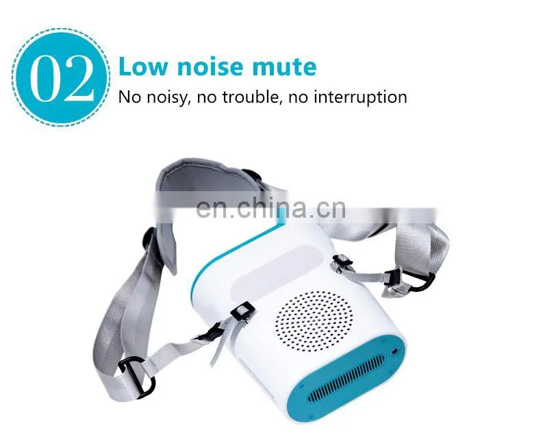 Mini cryolipolysis Frozen weight loss beauty equipment for Home use