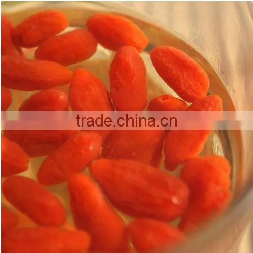 wolfberry fruit, lycium fruit, goji berries,big size
