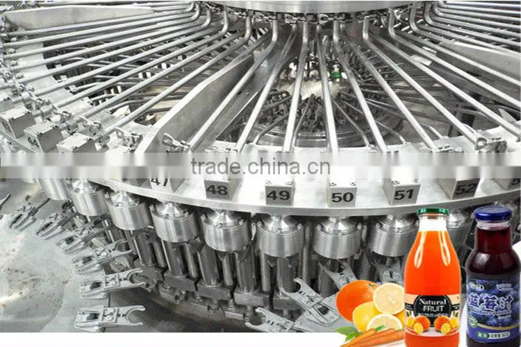 Automatic Fruit Juice Beverage Processing Machinery