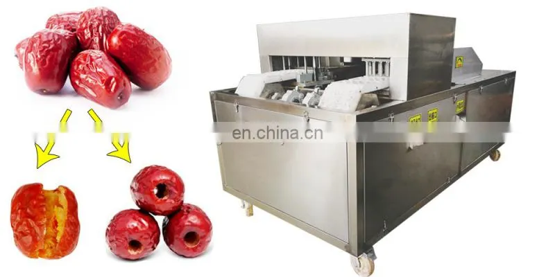 Date palm jujube pitter zizyphus jujuba pitting machine dates processing machine