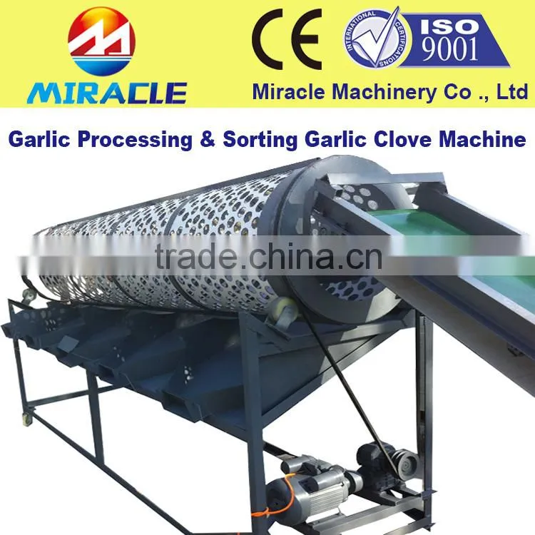 Low damage garlic cloves grading machine with lowest consumption to sort garlic by size