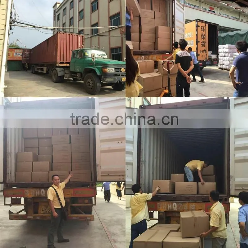 Food packaging plastic bag for food package(customize logo/printing plastic food bag)