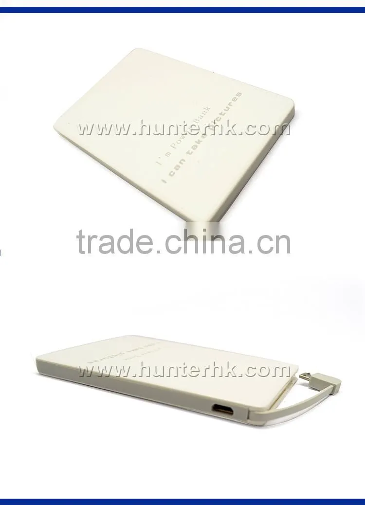 Any Pattern 2500mah MSDS Mobile Power Bank